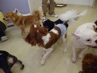 DSC05054.jpg