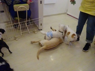 DSC05059.jpg