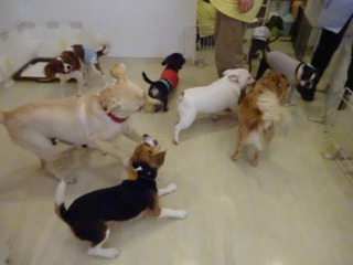 DSC05094.jpg