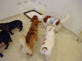 DSC05113.jpg