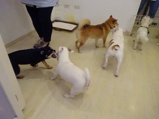 DSC05116.jpg
