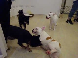 DSC05121.jpg