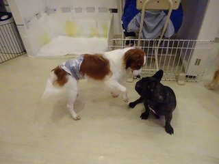DSC05126.jpg