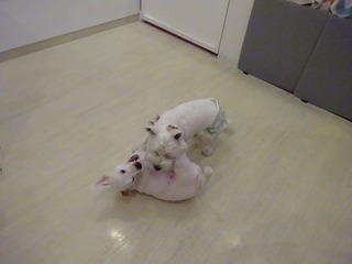 DSC05141.jpg