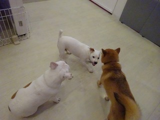 DSC05149.jpg