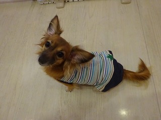 DSC05226.jpg