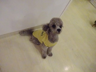 DSC05250.jpg