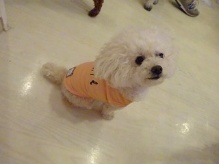 DSC05251.jpg