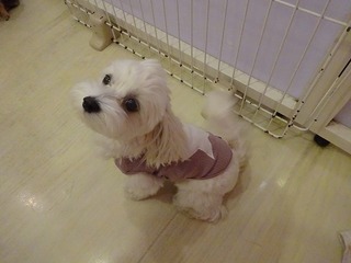 DSC05462.jpg