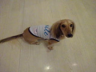 DSC05464.jpg