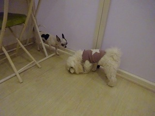DSC05467.jpg