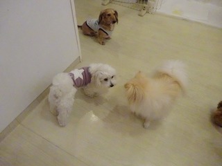 DSC05475.jpg