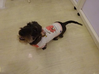 DSC05480.jpg