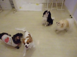 DSC05483.jpg