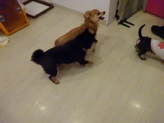 DSC05505.jpg