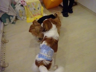 DSC05507.jpg