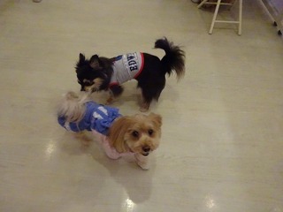 DSC05529.jpg