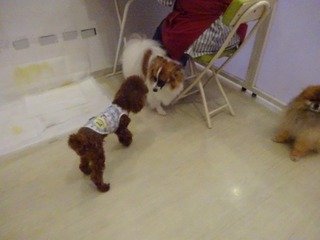 DSC05540.jpg