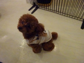DSC05610.jpg