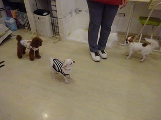 DSC05635.jpg
