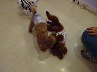 DSC05657.jpg