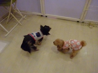 DSC05670.jpg