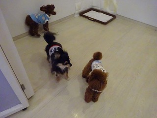 DSC05753.jpg