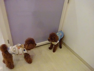 DSC05800.jpg