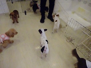 DSC05817.jpg