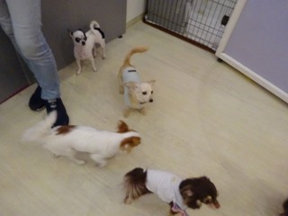 DSC05833.jpg