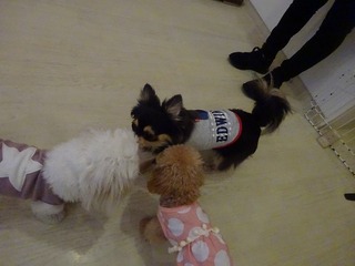 DSC05846.jpg