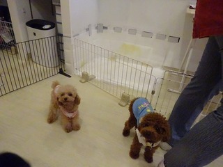 DSC05865.jpg