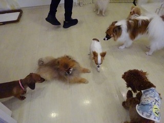 DSC05875.jpg