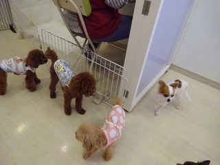 DSC05879.jpg