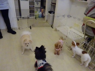 DSC05881.jpg