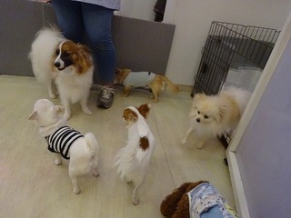 DSC05907.jpg