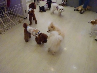 DSC05920.jpg