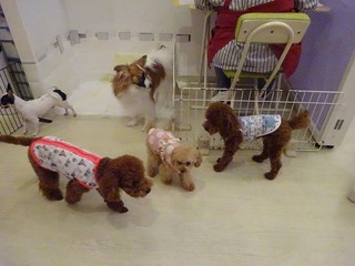 DSC05981.jpg