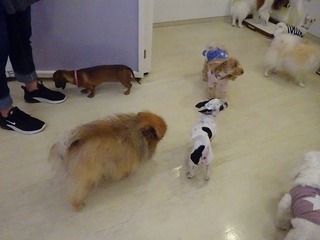 DSC06002.jpg