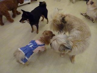 DSC06134.jpg