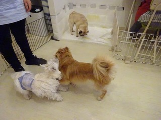 DSC06226.jpg