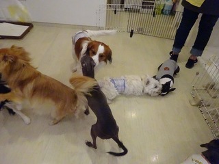 DSC06243.jpg
