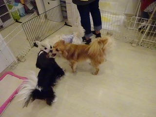DSC06343.jpg