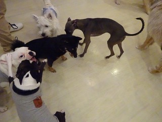 DSC06355.jpg