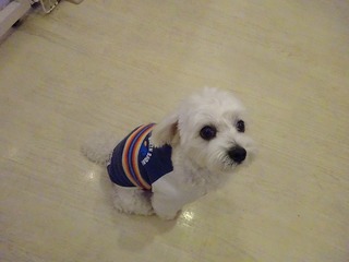DSC06414.jpg