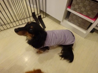 DSC06416.jpg