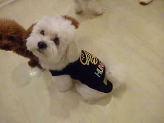 DSC06417.jpg