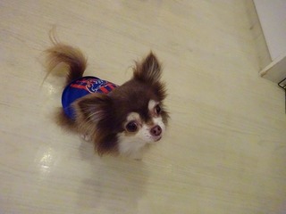 DSC06482.jpg