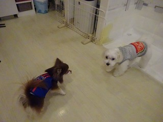 DSC06486.jpg