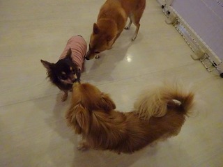 DSC06507.jpg